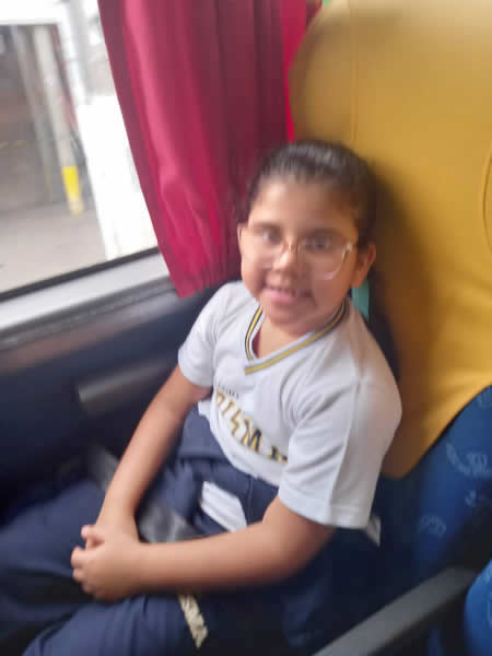 Bicho Mania 2022